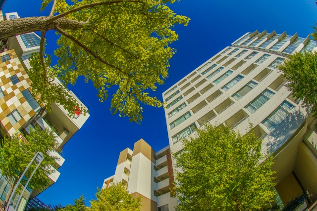 新緑の木々に囲まれたマンション群を見上げるローアングルの構図